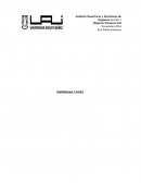 Análisis Financieros y Decisiones de Negocios Sección 1