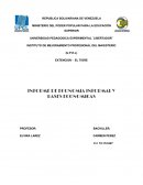 Autismo INFORME DE ECONOMIA INFORMAL Y BASES ECONOMICAS‏