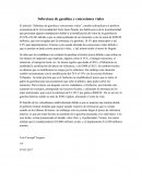 Sobretasa de Gasolina y concesiones viales.