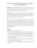 INFORME PARCIAL DEL PROYECTO DE LOGÍSTICA