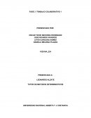 Trabajo Col 1 Metodos Deterministicos.