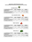 ANÁLISIS DE LA RENTABILIDAD DEL CULTIVO