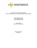 CONTRATO DE SUMINISTRO Y CONTRATO DE ESTABLECIMIENTO DE COMERCIO