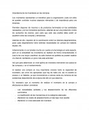 Importancia de los inventarios en las compras.