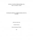 Vidal Castañeda y Najera Naturaleza humana y formas de ser ante una ceguera