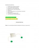 EXCEL TRABAJO Ciclo de vida del producto ( en ves de declinacion reiinventar)