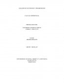 ANALISIS DE SUCESIONES Y PROGRESIONES CALCULO DIFERENCIAL