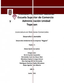 ECOAUDITORIA A UNA EMPRESA... Página 1