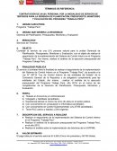 Términos de referencia.