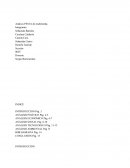 Análisis PESTA de multitienda