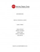 De los establecimientos visitados, Santorini y Vélez tienen un aviso muy llamativo, mientras el de Bosi tuvo una calificación más baja.