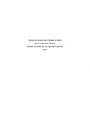 Prevencion - -Sistema de protección de seguridad industrial