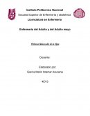 Enfermeria adulto.
