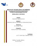 INTRODUCCIÓN AL DESARROLLO ORGANIZACIONAL- CASO CHICLES EL REY