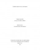 COMPORTAMIENTO DEL CONSUMIDOR.