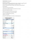 Resumen del puesto: Es el responsable de administrar y dirigir en su totalidad a la empresa, así como de tomar las decisiones estratégicas relacionadas con el crecimiento de la misma.