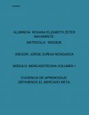 EVIDENCIA DE APRENDIZAJE: DEFINIENDO EL MERCADO META