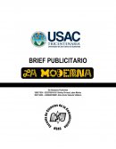 BRIEF PUBLICITARIO