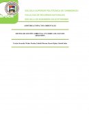 SISTEMA DE GESTIÓN AMBIENTAL EN FÁBRICA DE ZAPATOS ARMANDINY