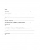 PLANEACION Y PROGRAMACION DE LAS ACCIONES