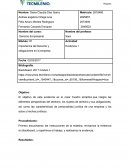 Primero escuchamos las instrucciones de la maestra, revisamos la evidencia en blackboard, y repartimos el trabajo, y realizamos la evidencia..