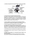 ¿Cuáles son las partes del microscopio? Utiliza un esquema para señalar..