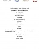 Realizar investigación sobre cómo se encuentra el sector primario en la cría y compra-venta de ovinos.
