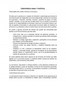 FUNCIONES DEL DIRECTOR.