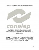 CARACTERISTICAS DE LOS FENOMENOS, TIPOS Y FUNCIONES DE LA SOCIEDAD EN CHINA