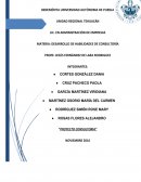 Proyecto consultoría.