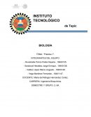 Observar y medir algunos parámetros que afectan la germinación y desarrollo de las células en dormancia; como el tiempo de germinación, luz, agua y nutrientes como fosforo y nitrógeno.