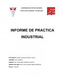 Practica profesional CARRERA: ING. QUIMICA