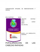 Comunicacion integral mercadotecnia.