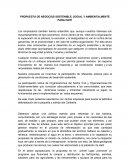 PROPUESTA DE NEGOCIOS SOSTENIBLE, SOCIAL Y AMBIENTALMENTE PARA HAITI.