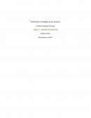 Planificación estratégica de los servicios