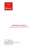 Supervisión en recursos humanos.