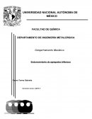Microestructura y comportamiento de los aceros bifásicos, su composición y propiedades mecánicas
