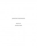 LABORATORIO DE MICROBIOLOGÍA PRACTICA #2 TINCIÓN DE GRAM