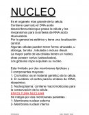 Histologia. NUCLEO