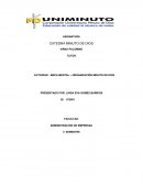 El origen de la vida.