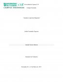 Jornaleros Agricolas Migrantes