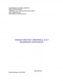 Características que influyen en el desarrollo emocional y social en relación a los objetos físicos o sociales