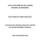 LA EFICACIA DEL PROCESO LEGISLATIVO, DENTRO DEL SISTEMA BICAMERAL EN MEXICO