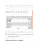 Como se puede apreciar en él se ve reflejado los costos que generarían producir la mermelada en un año lo cual sería un presupuesto a corto plazo. Cabe destacar que es un presupuesto privado, por ende es de naturaleza flexible.