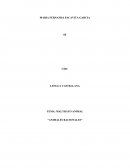 La racionalidad es esa capacidad humana que permite pensar, evaluar actuar mediante el uso de la razón, se supone que esta característica es la que nos distingue de los animales, pero la realidad que ve mis ojos, hace que no pare de hacerme la misma pre