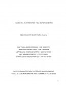 Ensayo final de linde colombia.