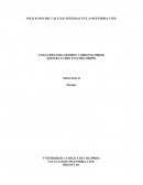 APLICACION DEL CALCULO INTEGRAL EN LA INGENIERIA CIVIL