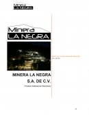 MINERA LA NEGRA S.A. DE C.V. Proyecto Sistemas de Información