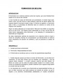 Feminicidio en Bolivia