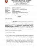 APELACION DE SENTENCIA CONDENATORIA